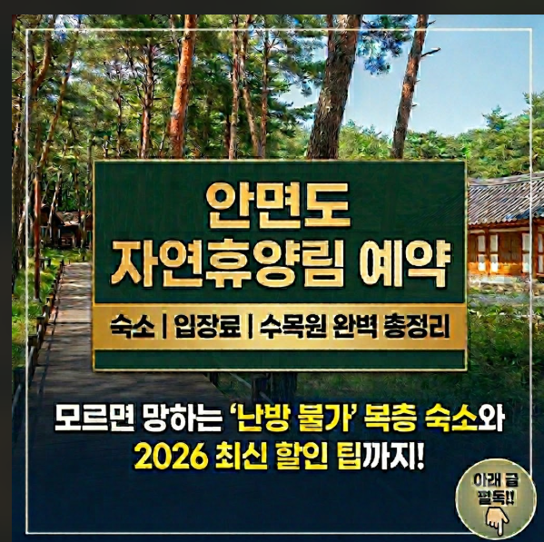 안면도 자연휴양림