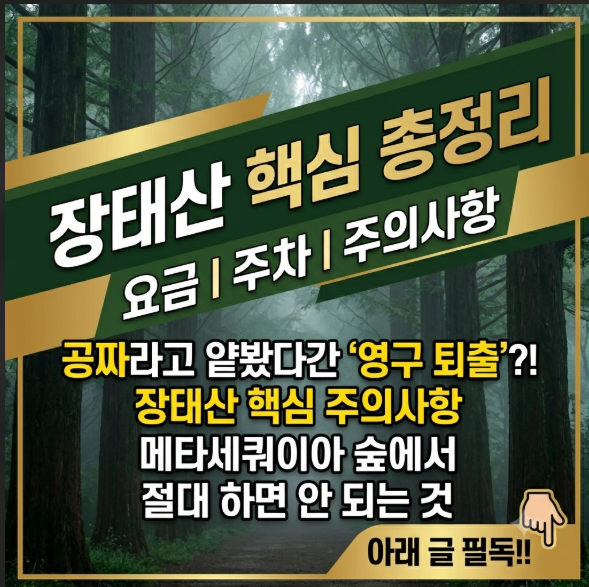 장태산 자연휴양림