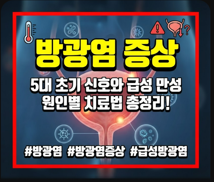 방광염 증상