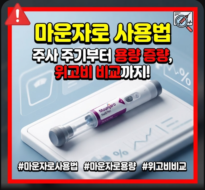 마운자로 사용법