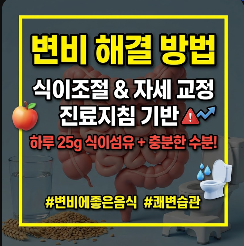 변비에 좋은 음식 변비해결방법